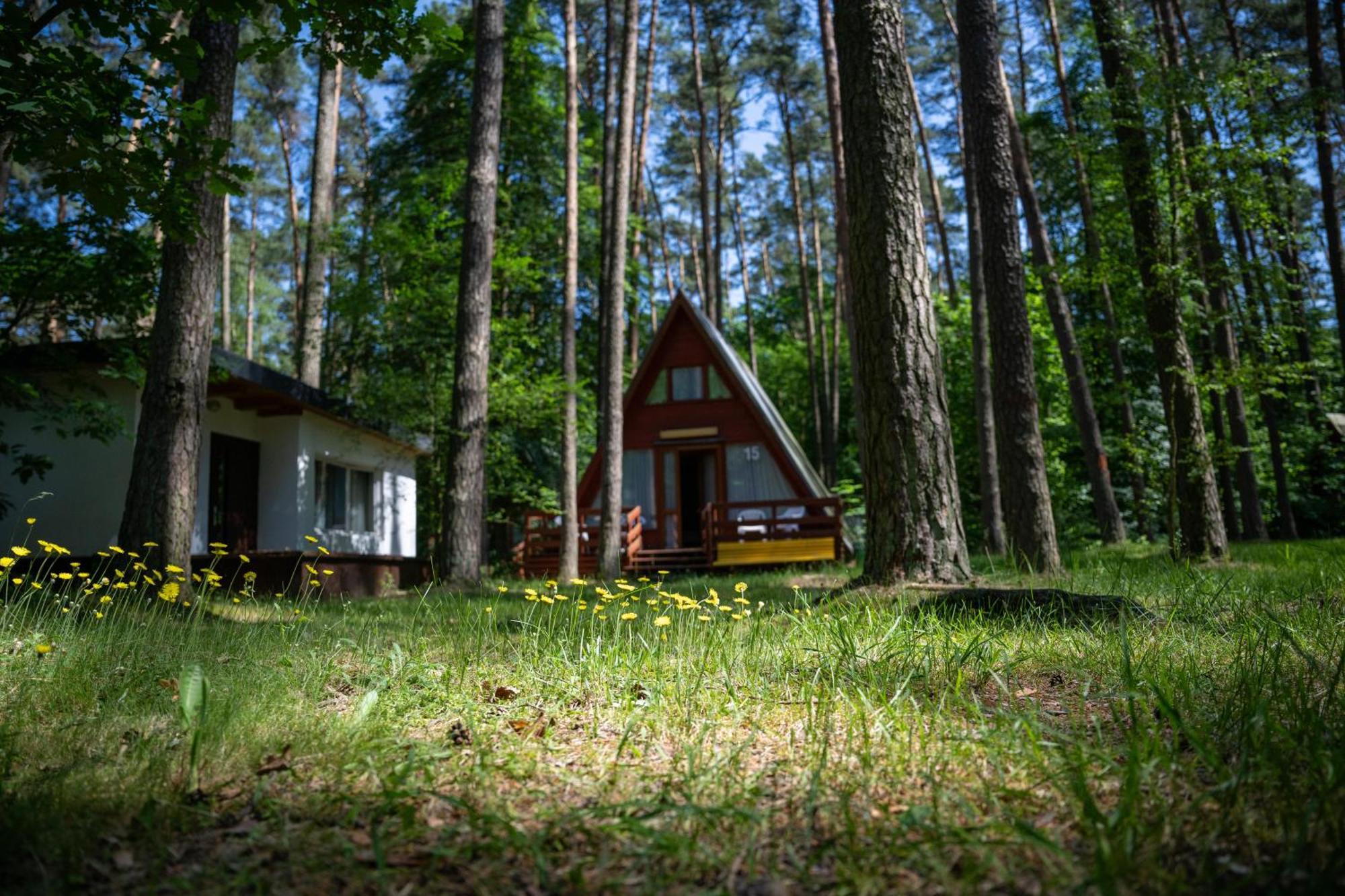 "Lesne Ustronie" Villa Byslaw Exterior photo
